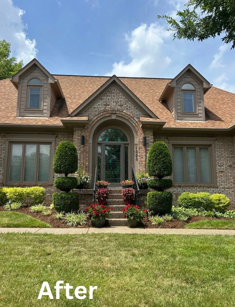 Same front yard after mulching, shrub trimming and mowing