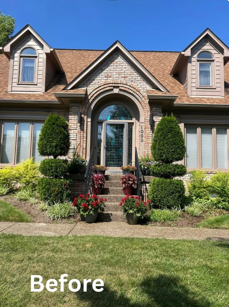 Front yard before lawn care with overgrown shrubs and patchy grass